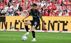 九游体育APP-勒沃库森前锋再度受伤，球队锋线不稳定的简单介绍