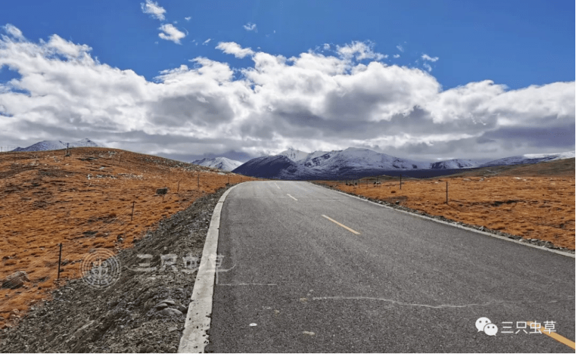 吉林折损多名主力,实力受到极大考验的简单介绍 吉林折损多名主力,实力受到极大考验的简单介绍