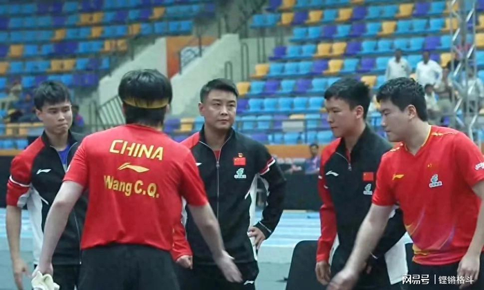 中国乒乓球队爆冷波兰乒乓球队，王皓制霸全场的简单介绍