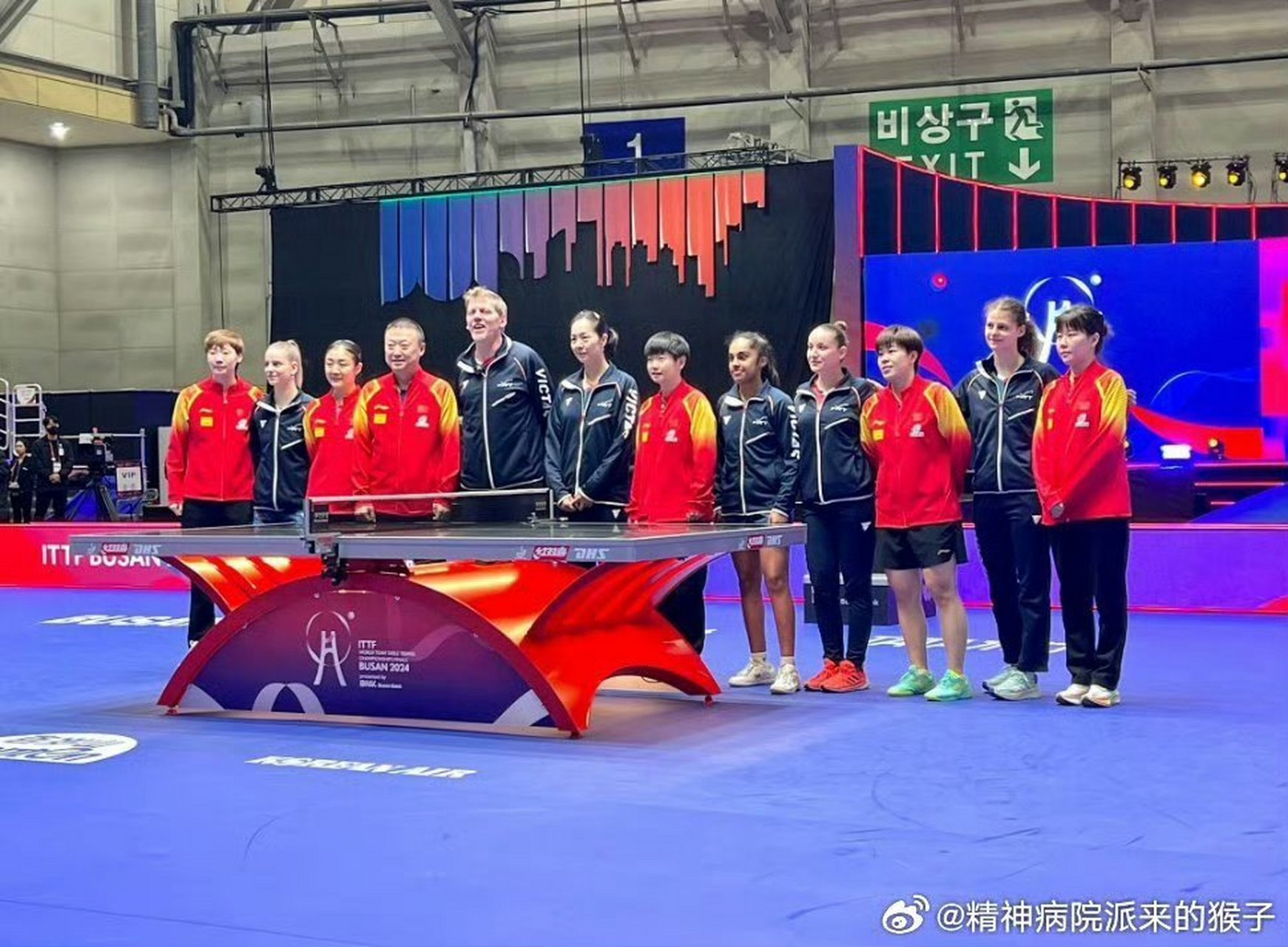 法国队险胜韩国队,马琳扛起全队 法国队险胜韩国队,马琳扛起全队