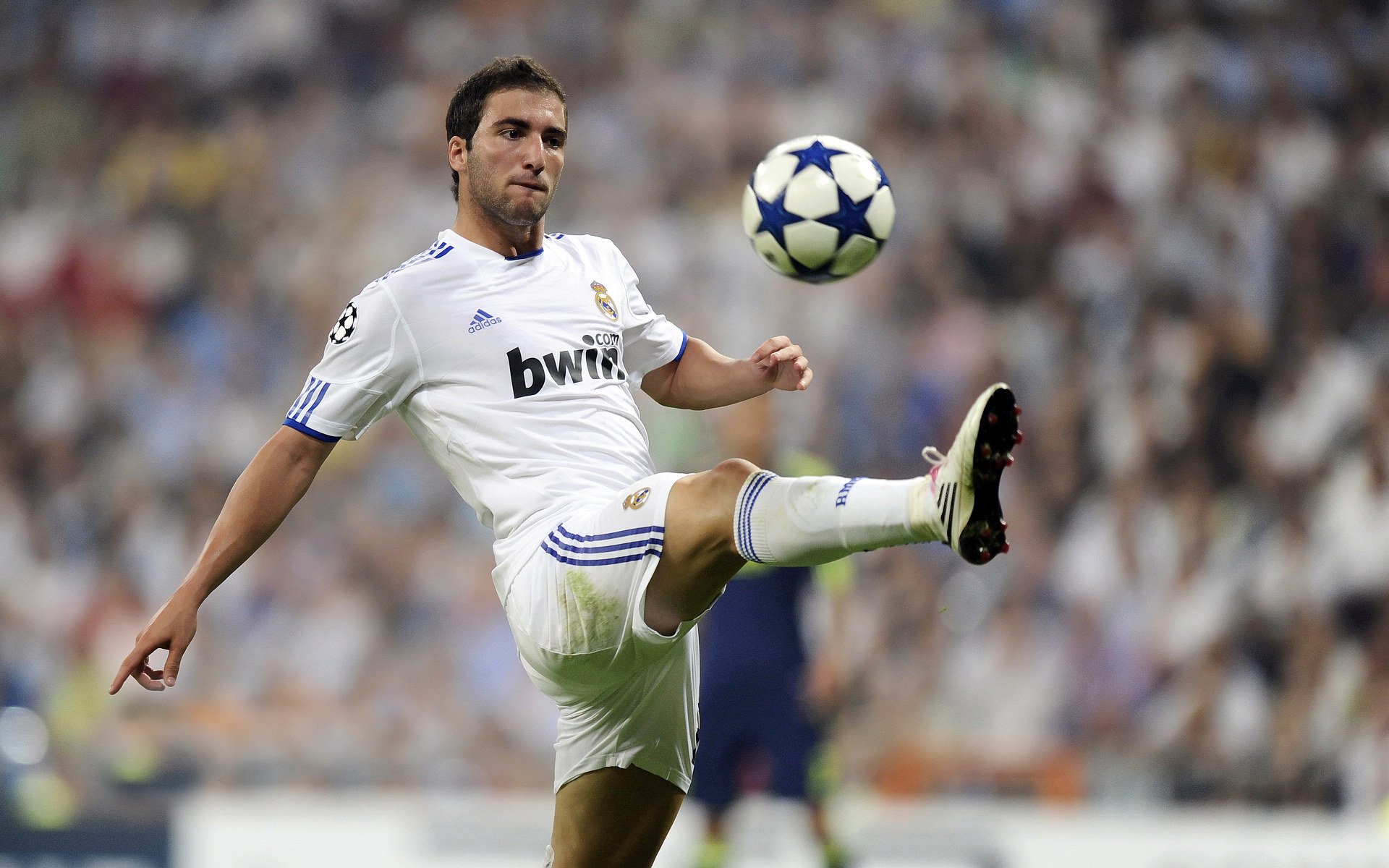 从墨尔本鏖战到都灵决战，蒂姆关键制胜背后的精神史诗